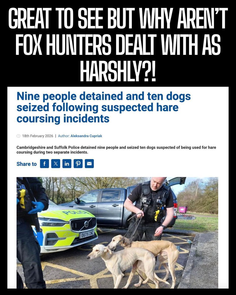 Protect the Wild tweet media