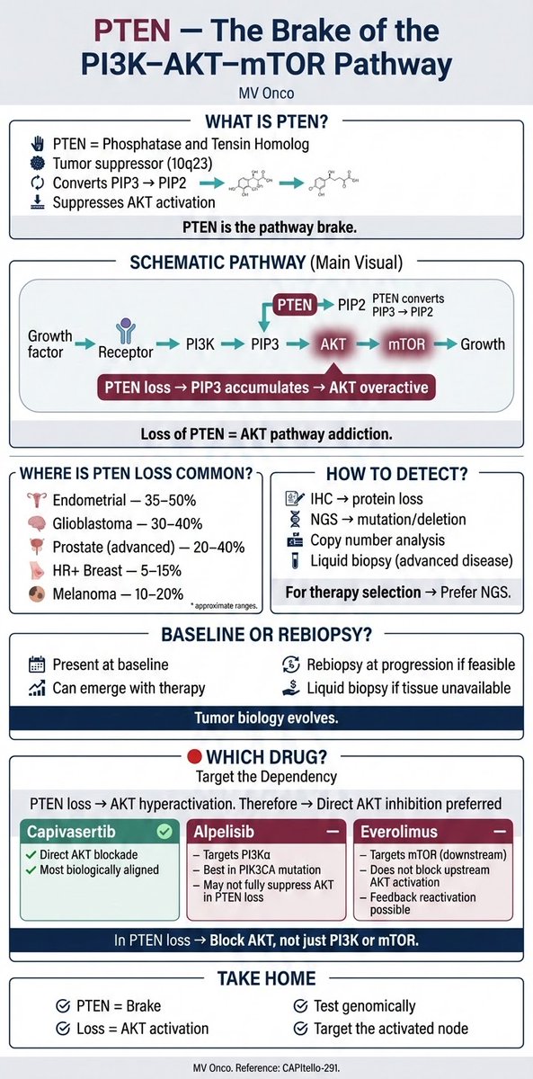 PTEN loss isn’t just another mutation — it removes the brake on the PI3K–AKT–mTOR pathway 🚦
When AKT is addicted, target the right node.
IHC or NGS? Baseline or rebiopsy?
Mechanism should guide medicine.
#MVOnco #Oncology #PrecisionMedicine