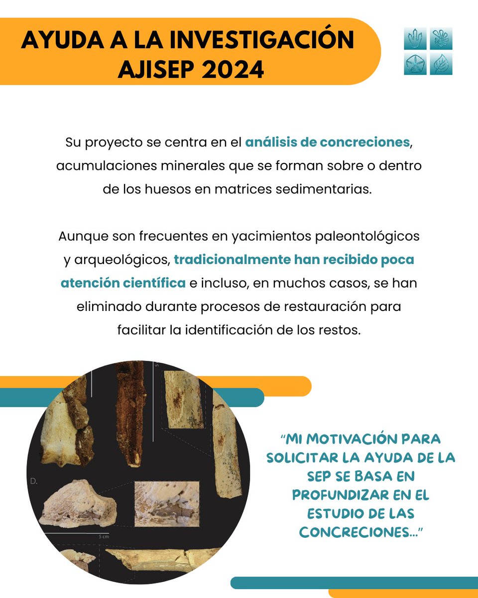 Sepaleontologia tweet media