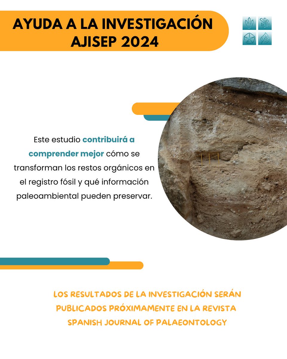 Sepaleontologia tweet media