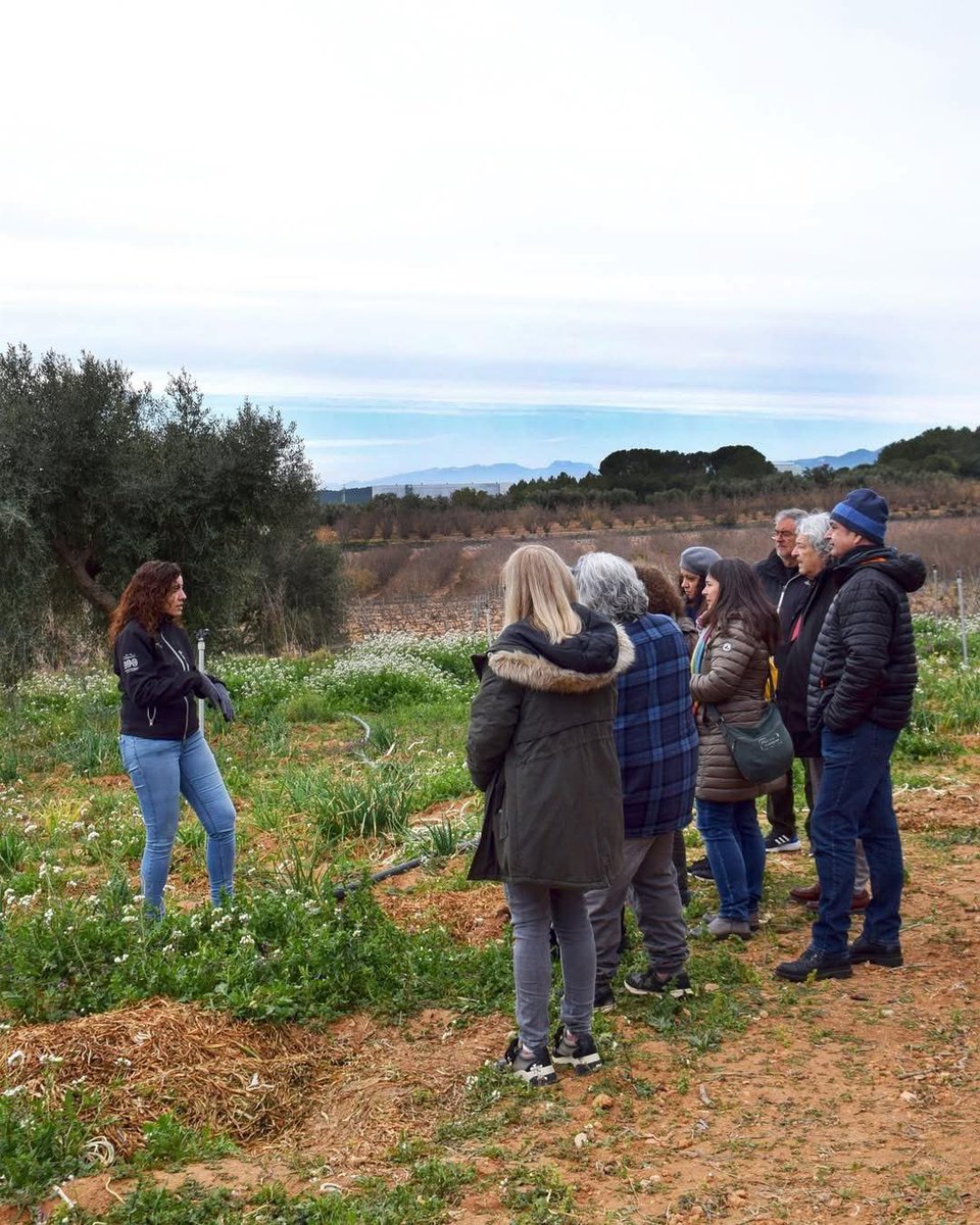 ADERNATS - Vinícola Nulles tweet media