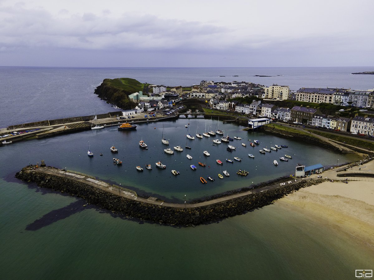 Gia homemade productions tweet media