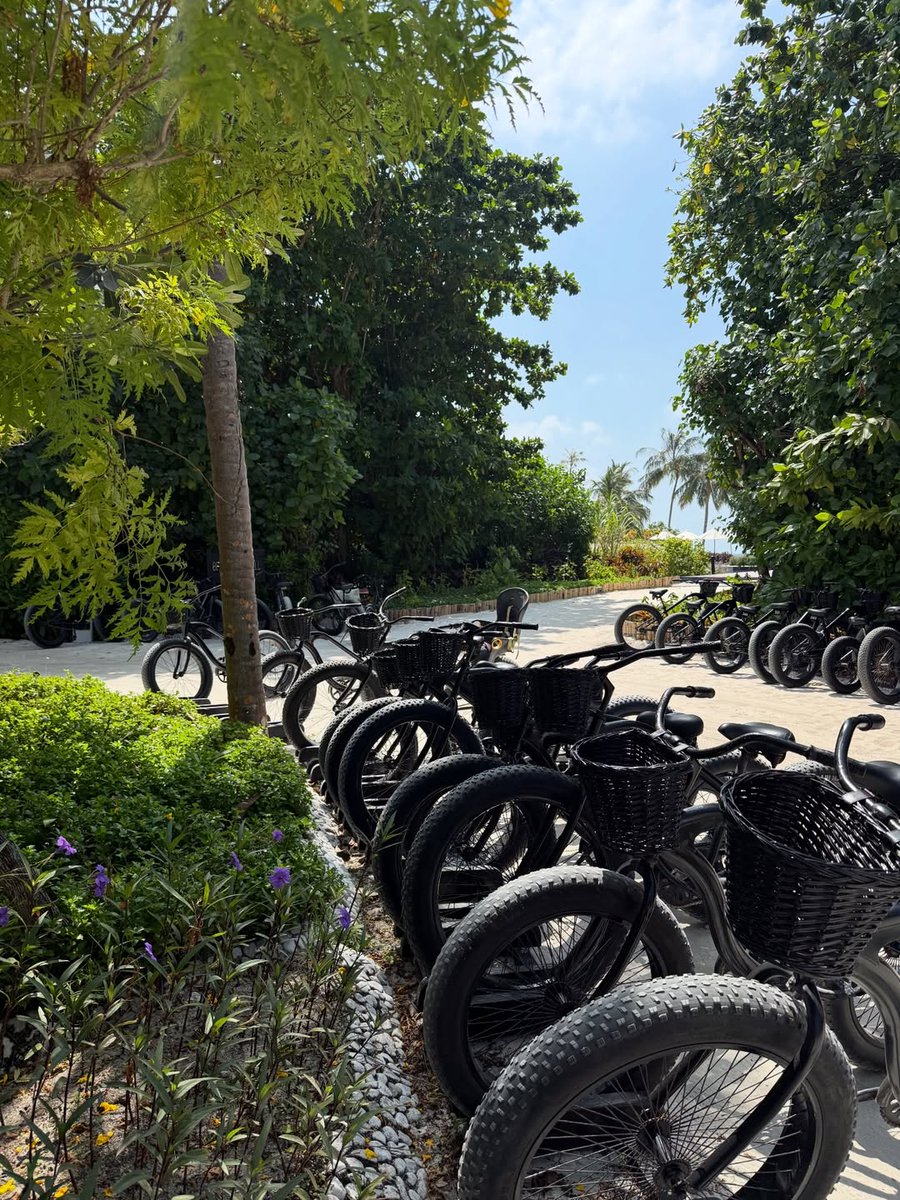 Emerald Maldives Resort & Spa tweet media