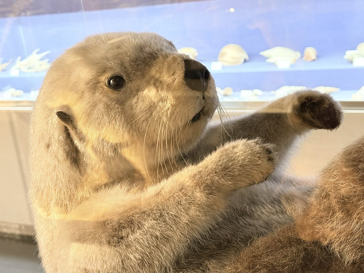 はなみ︎ tweet media