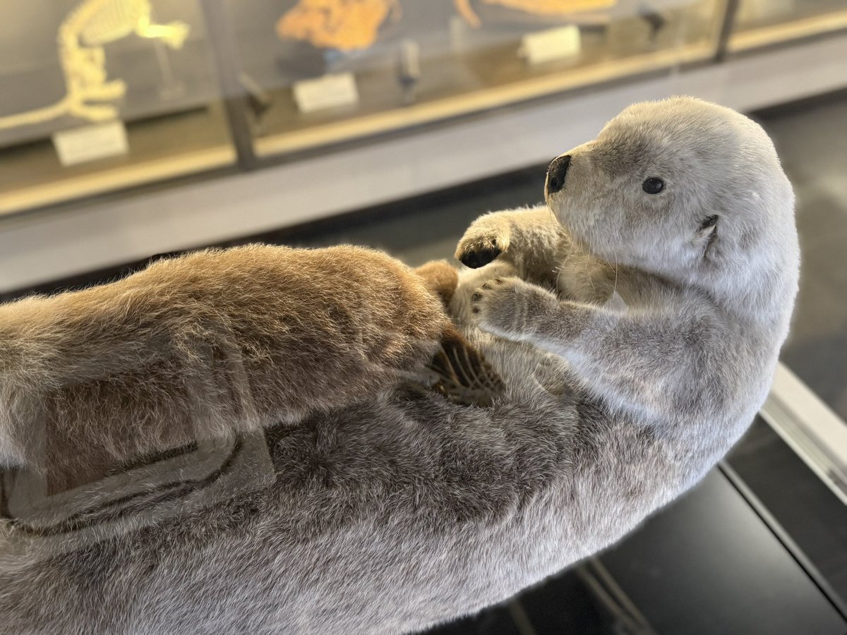 はなみ︎ tweet media