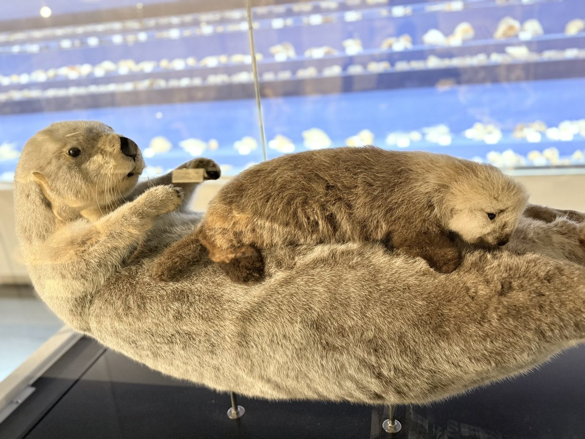 はなみ︎ tweet media