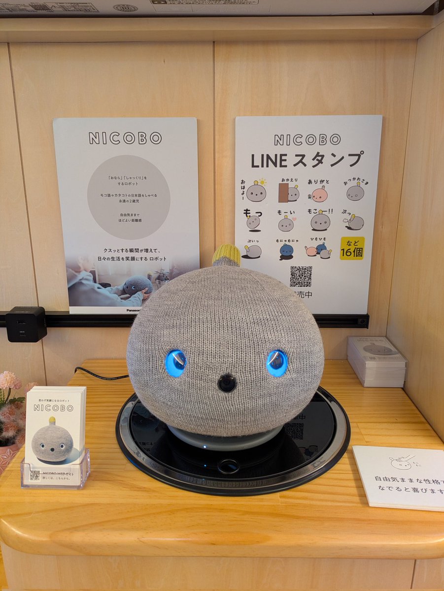 NICOBO（ニコボ） (@nicobo_official) / Posts / X