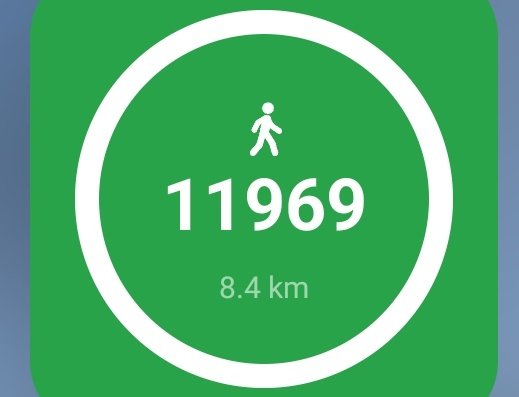 wakasan_simple's tweet photo. 今日は目標達成！沢山歩きました🚶 https://t.co/botSWFG2Ba