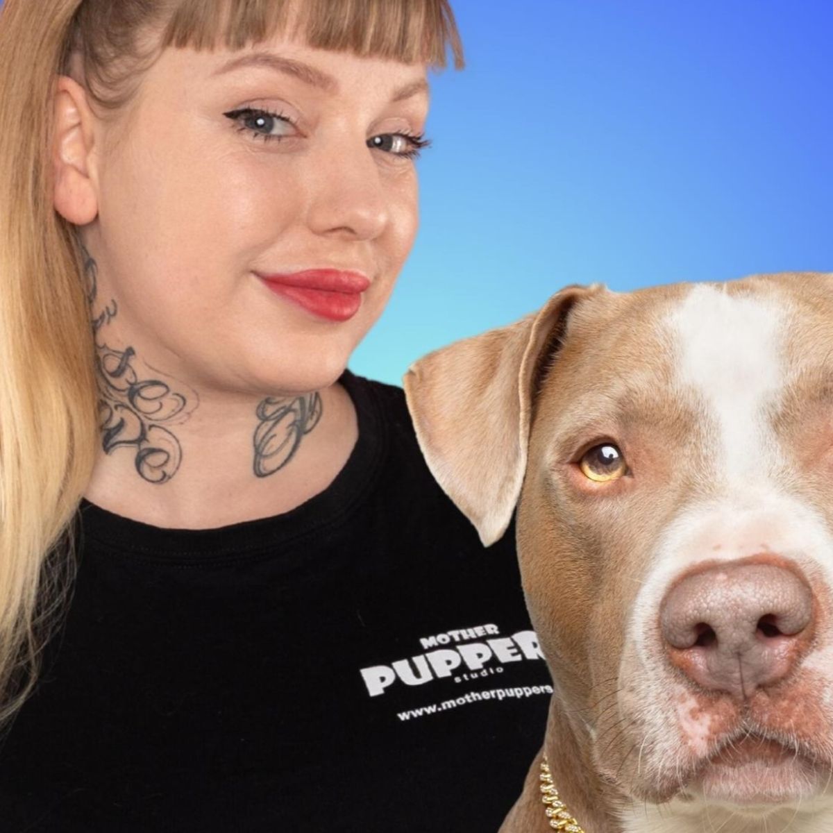 De Late Avond Radio tweet media