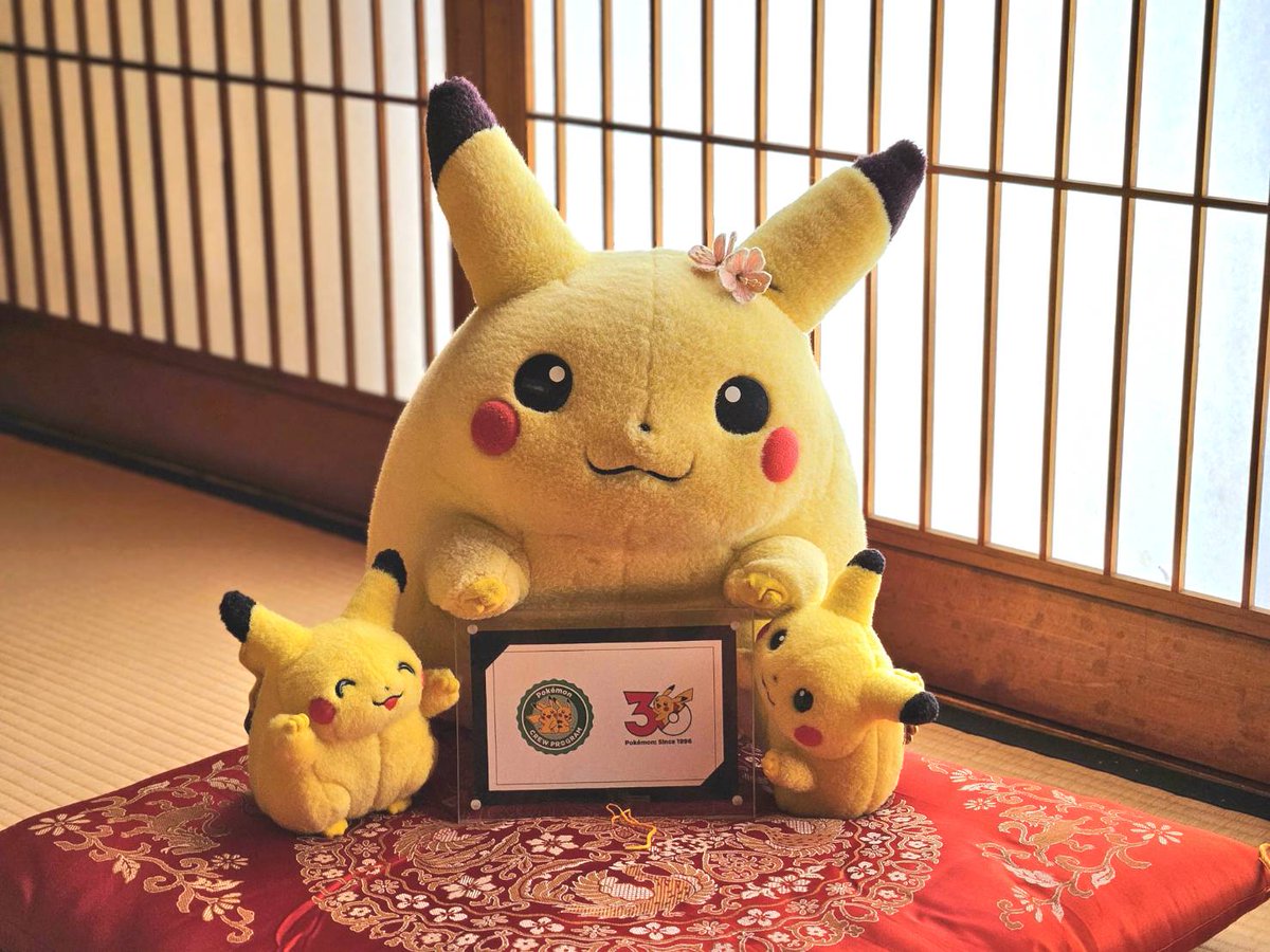 祖母からお年玉もらってるピカチュウで有名