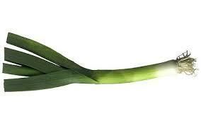 popethcymraeg's tweet photo. GEIRFA DYDD GŴYL DDEWI/ST. DAVID’S DAY VOCABULARY
4.  CENNIN/CENHINEN.  Mae cennin yn rhoi blas ardderchog i gawl. Leeks give cawl an excellent flavour. #DyddGŵylDdewi #StDavidsDay #DysguCymraeg
#LearnWelsh https://t.co/TMSnptsUOu