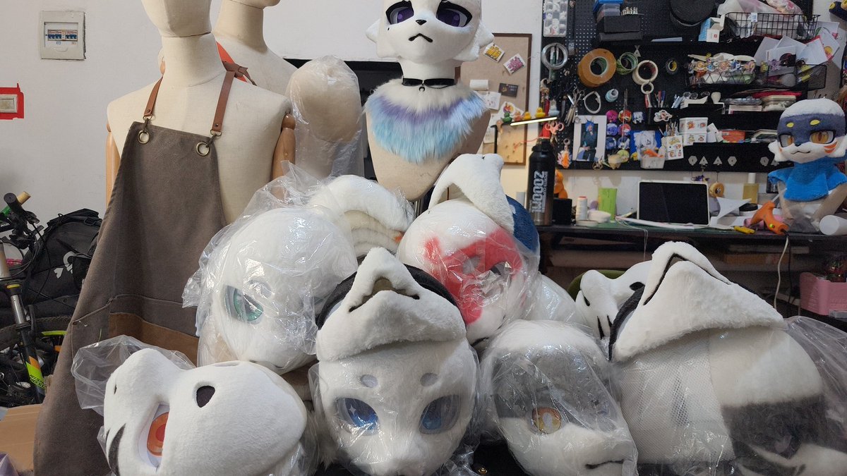 🦊_Angus tweet media