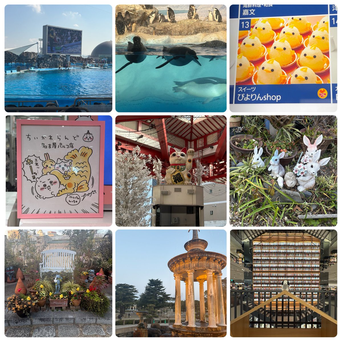 すてら tweet media