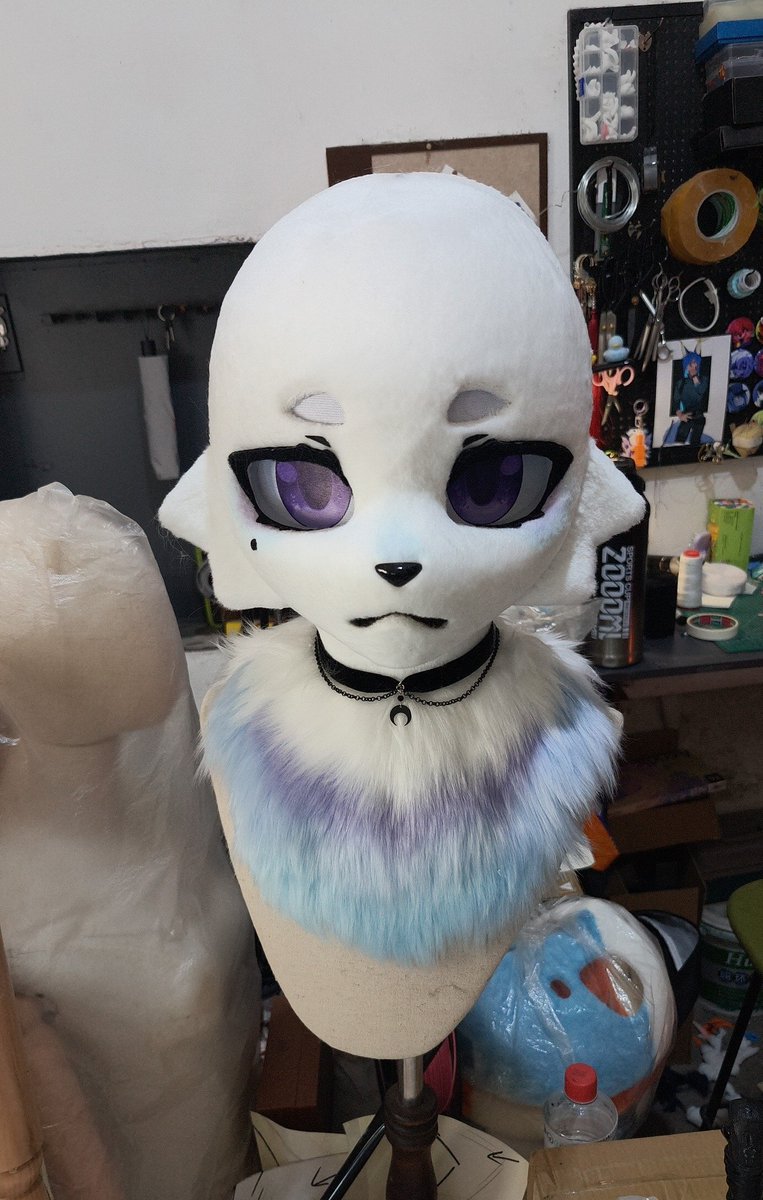 🦊_Angus tweet media