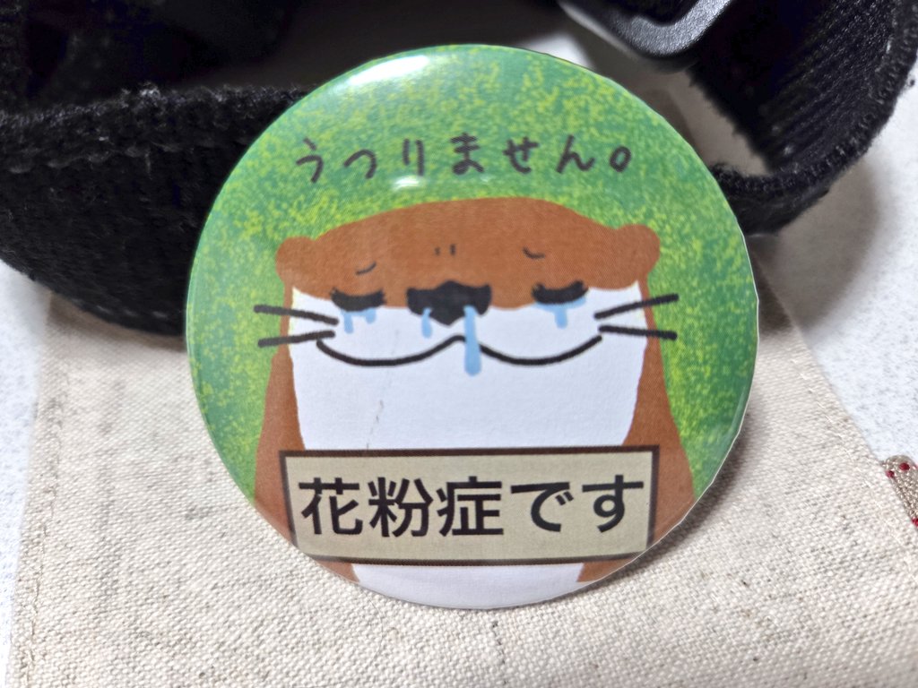 モフたぬき (@OTbRinH61FOOofm) / Posts / X