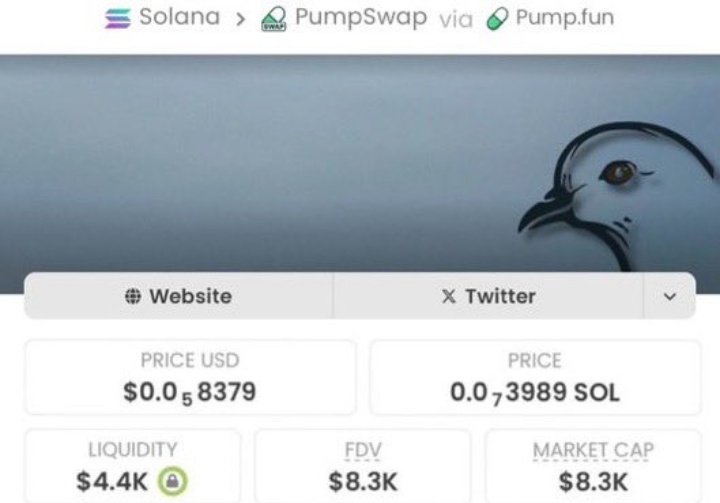 Nielsenactually's tweet photo. $pigeon is still early.....watch this space✈️🚀🚀

Mcap: $8.3k

CA:4fSWEw2wbYEUCcMtitzmeGUfqinoafXxkhqZrA9Gpump

#sol #memecion #pumpswap https://t.co/ovS3JKCj9Y