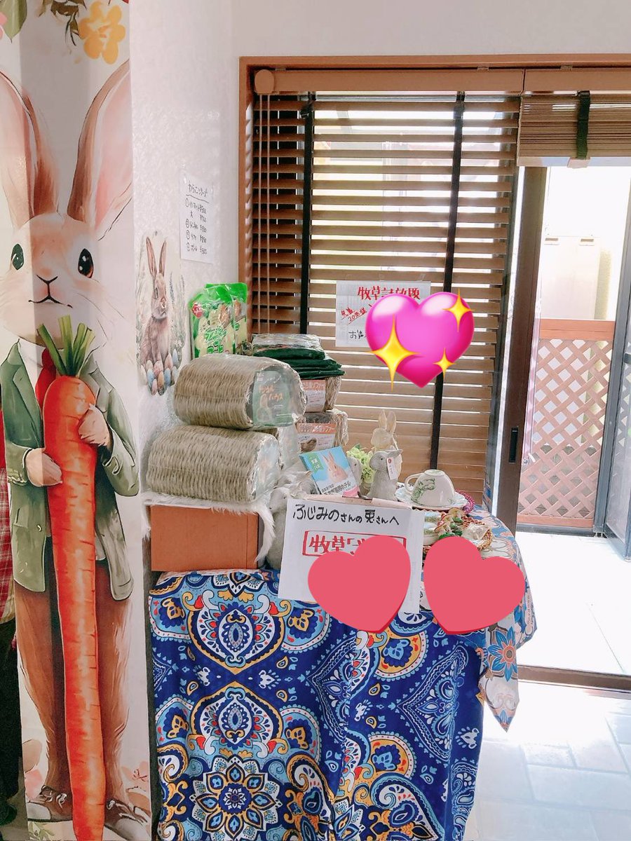 koedousagihouse's tweet photo. 📢譲渡会のお知らせ🐰

【日時】2/28(土)12:00〜16:00（完全撤収）

【場所】Rabbit Island
東京都練馬区上石神井1-22-16

今週末はうさぎ専門ホテルのRabbit Islandさん（https://t.co/ztL0SUfPSl）にて2度目の譲渡会です🌸

色々な催しや販売もありますのでどうぞお気軽に足を運んでみてくださいね✨

⚠️16:00完全撤収のため里親をご希望の方はお早めにお越しください。

#ふじみ野うさぎハウス 
#保護うさぎ
#譲渡会