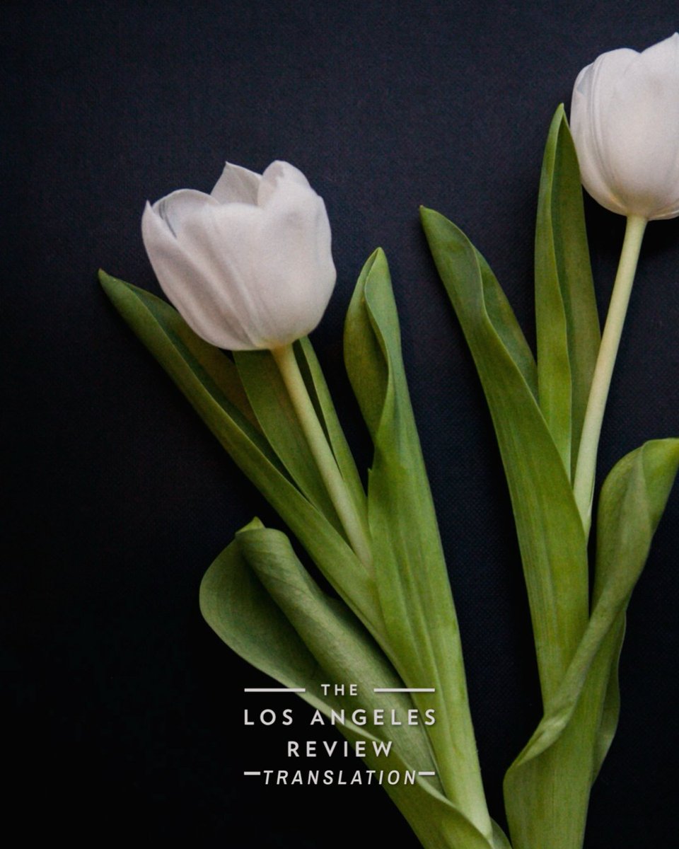 Los Angeles Review tweet media