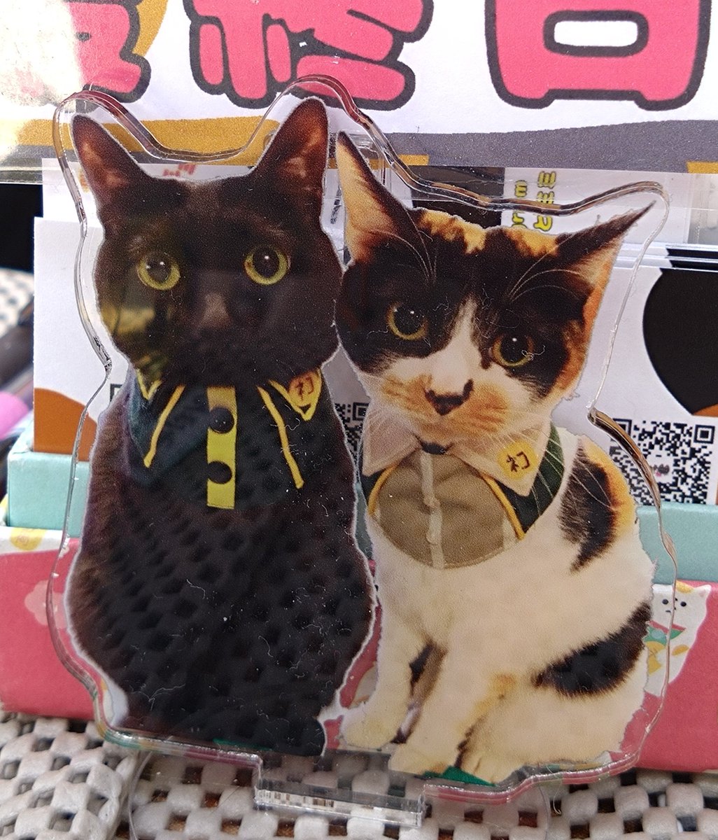 みけねこ。 (@mike_myi) / Posts / X