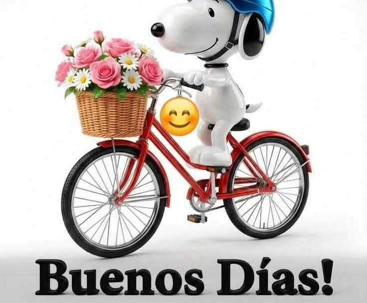 horchelopez's tweet photo. @ElenaCa08007703 https://t.co/cVjRqrYf3T