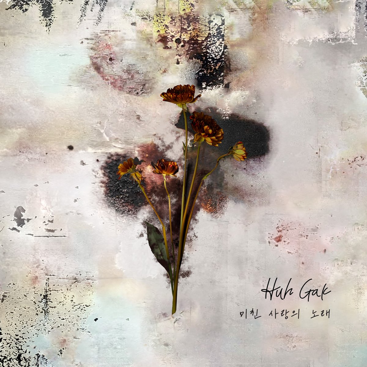 OS Projects tweet media