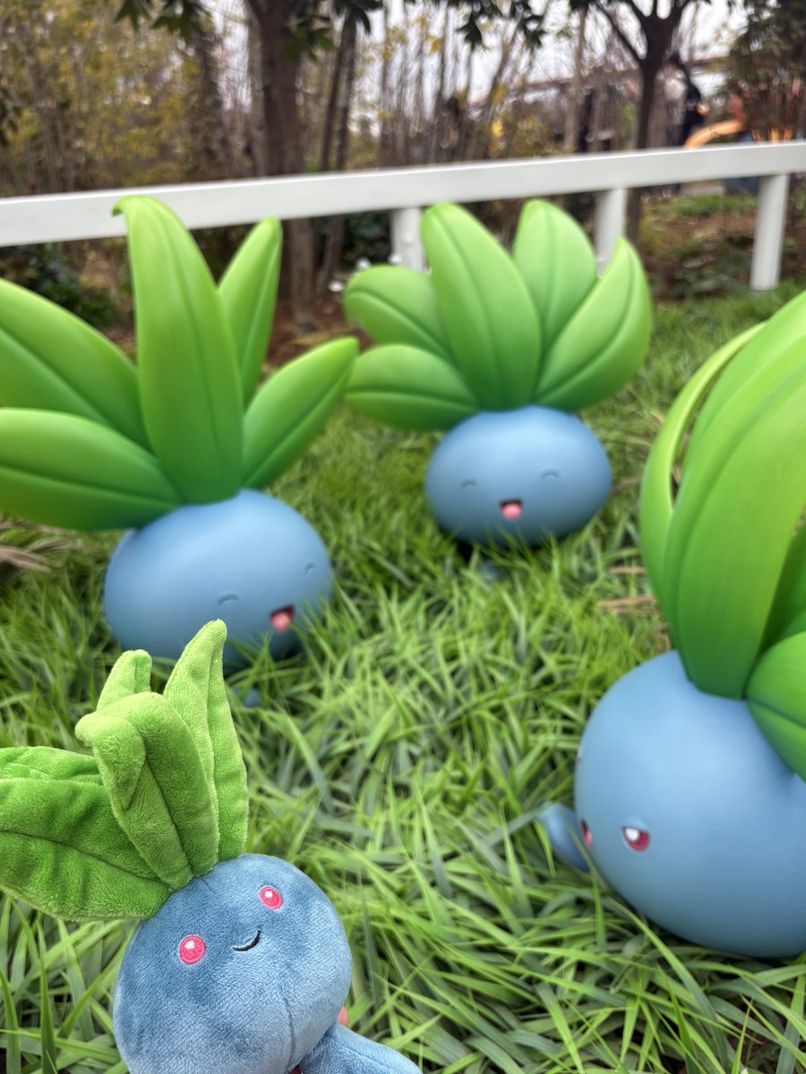 y_onq's tweet photo. 写真を撮っていたら1日が終わる
楽しかった！ https://t.co/4ZyqUFFcZ9