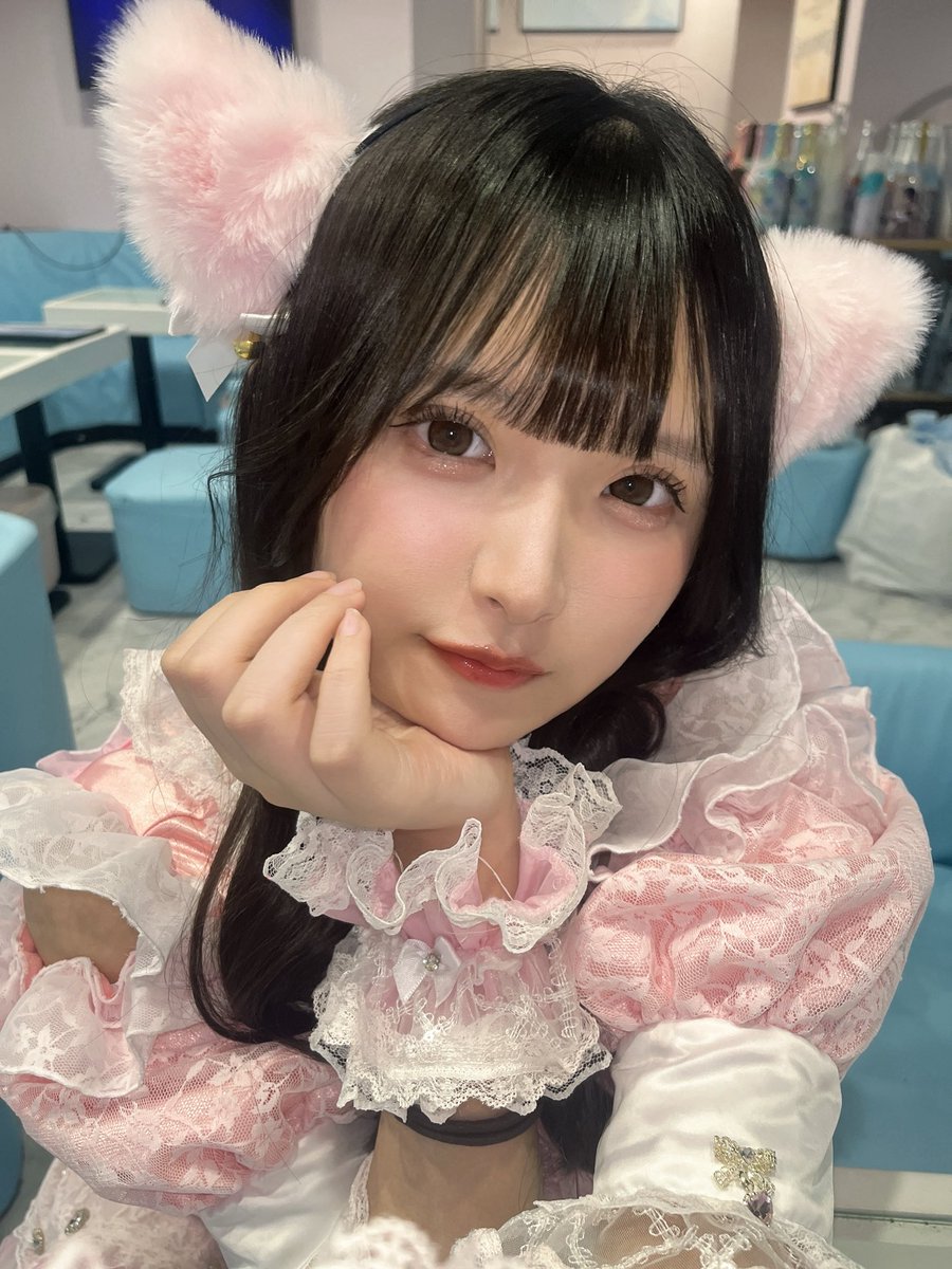 Post by めぐちゃん on X: 🐈🐾