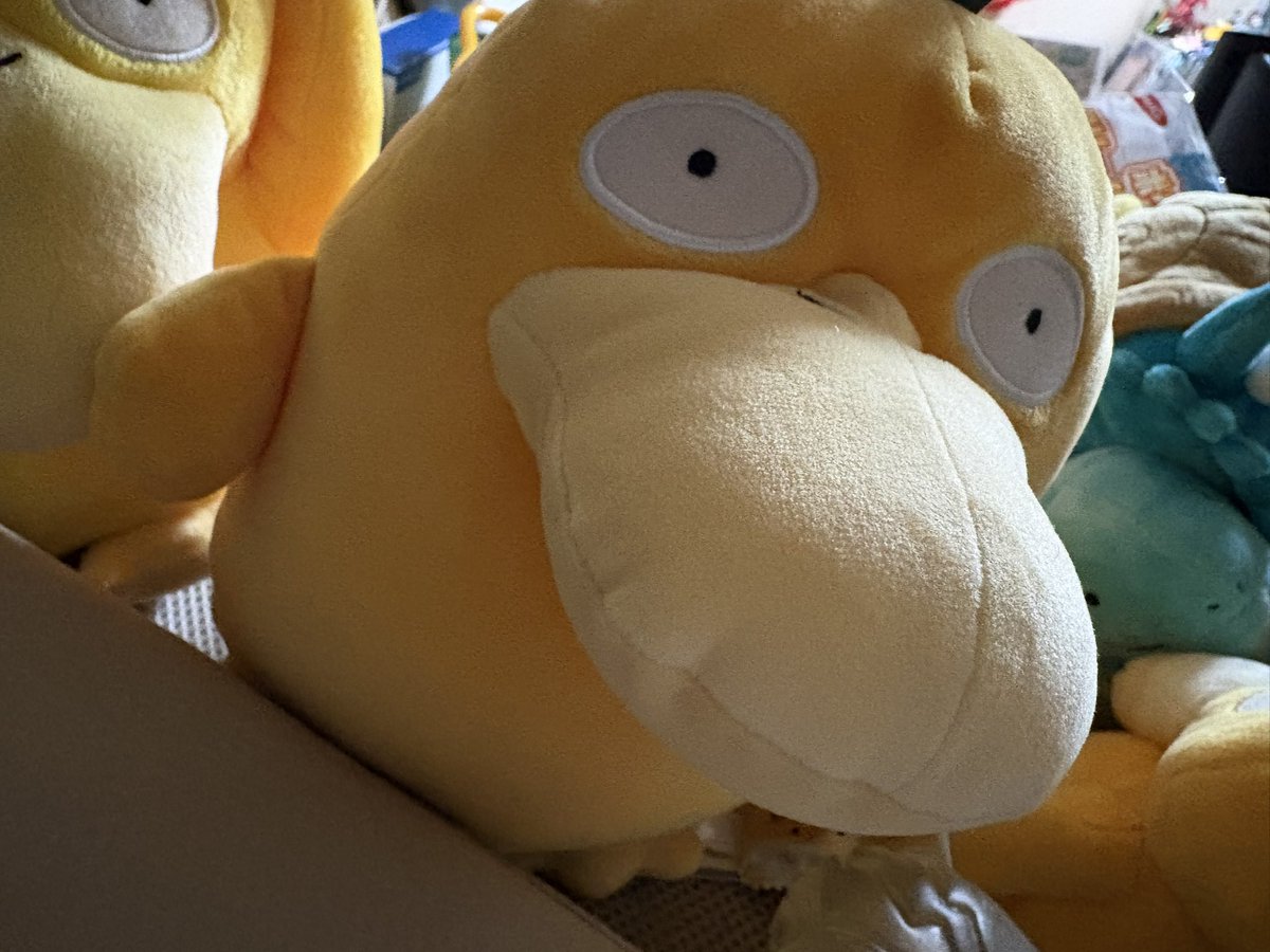 こけっこ船長とおこぱ tweet media