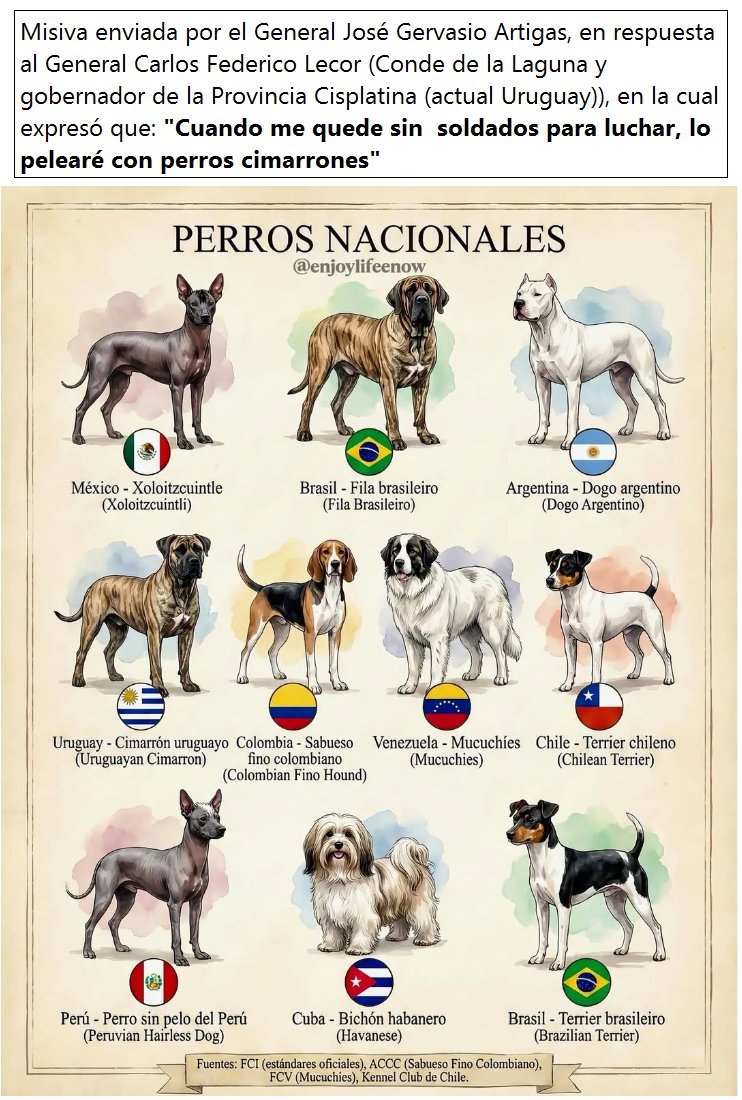 🇺🇾El primitivo 🐶perro cimarrón, por su arraigo en el territorio uruguayo, ha sido desde los comienzos mismos de la identidad nacional de este pueblo, un símbolo de la lucha independentista.