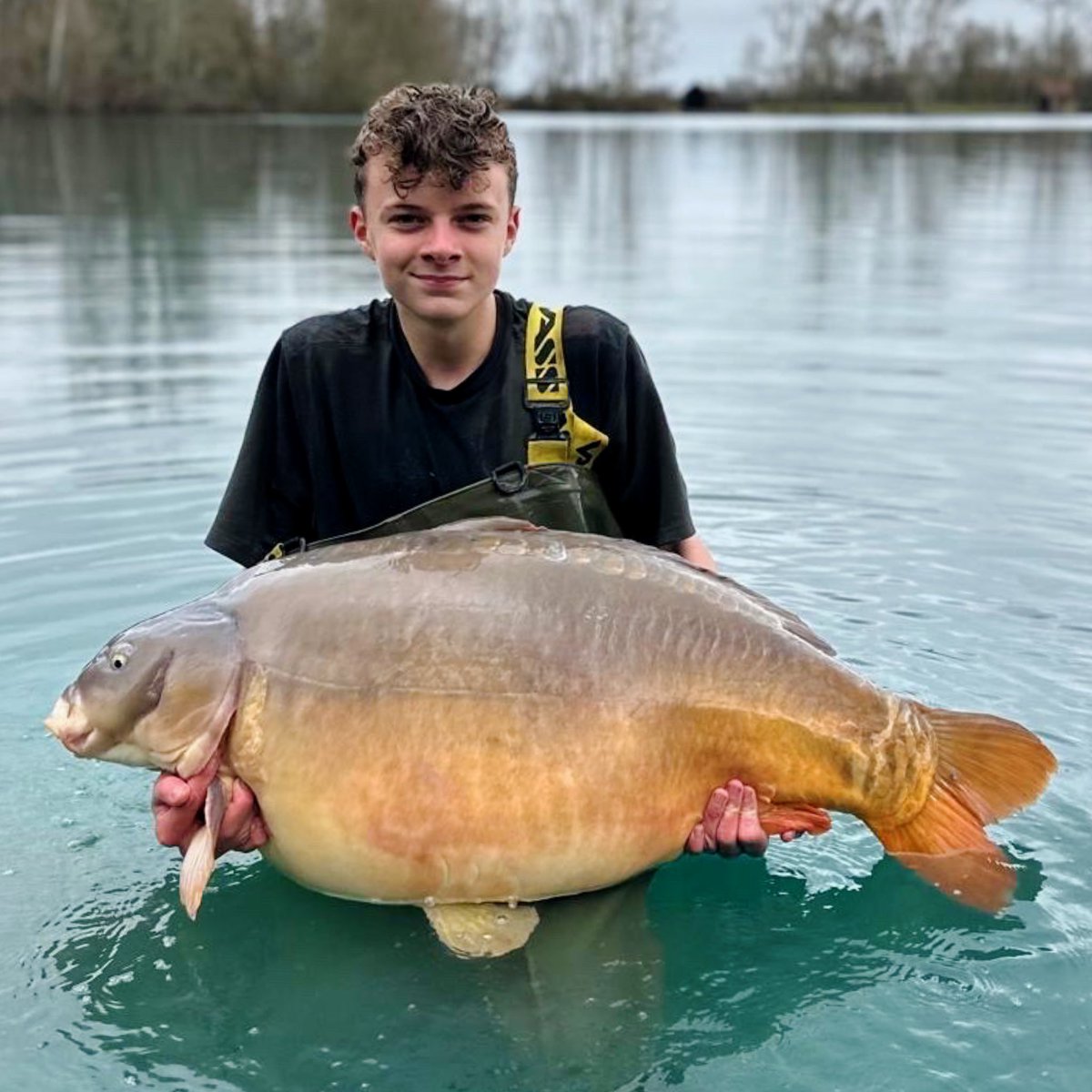 One More Cast tweet media