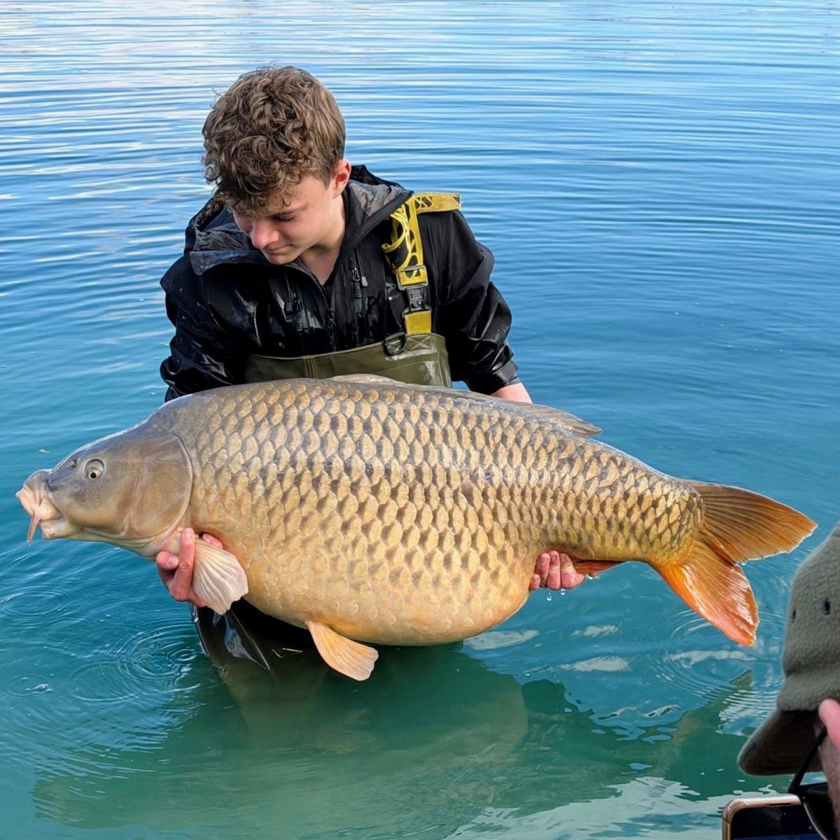 One More Cast tweet media