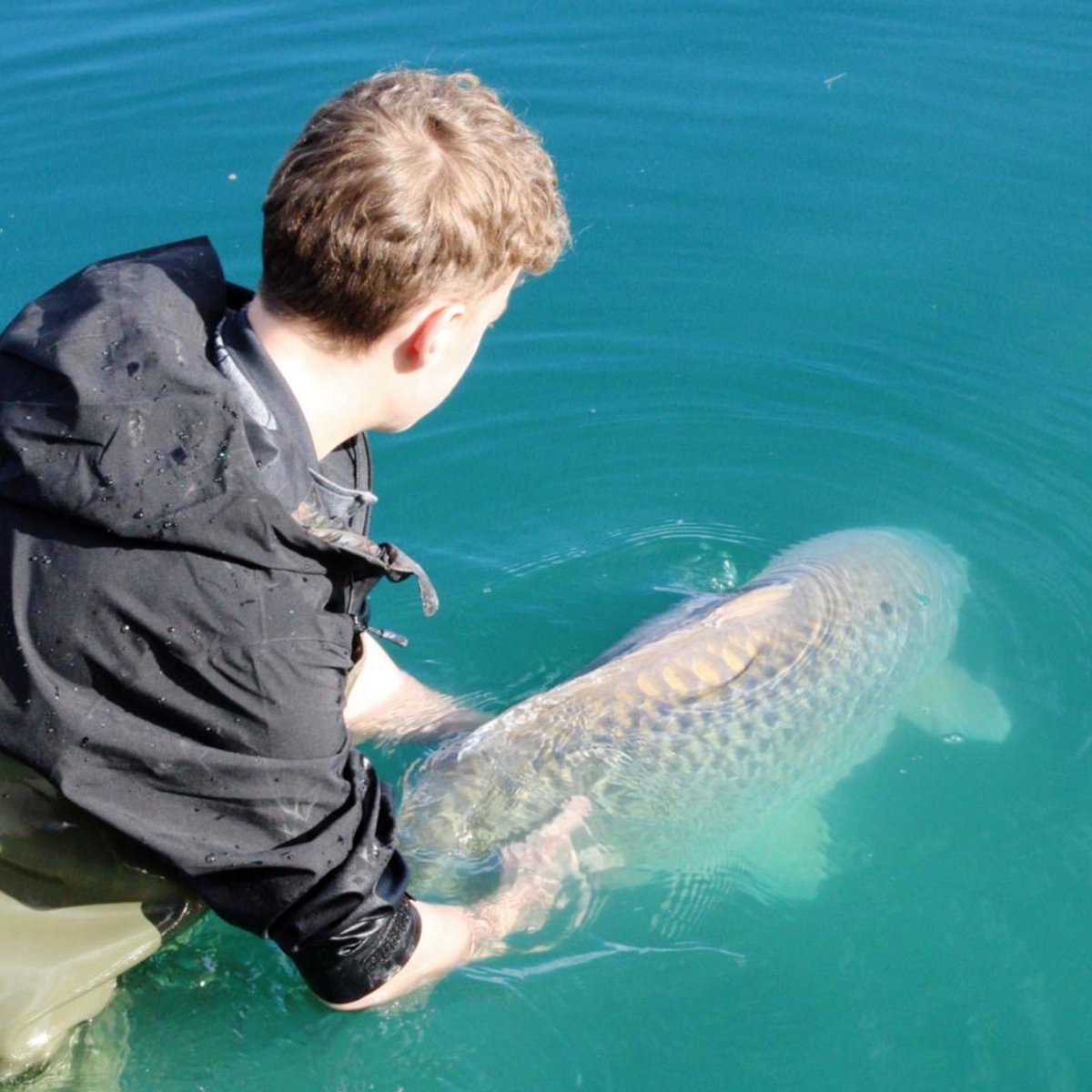 One More Cast tweet media