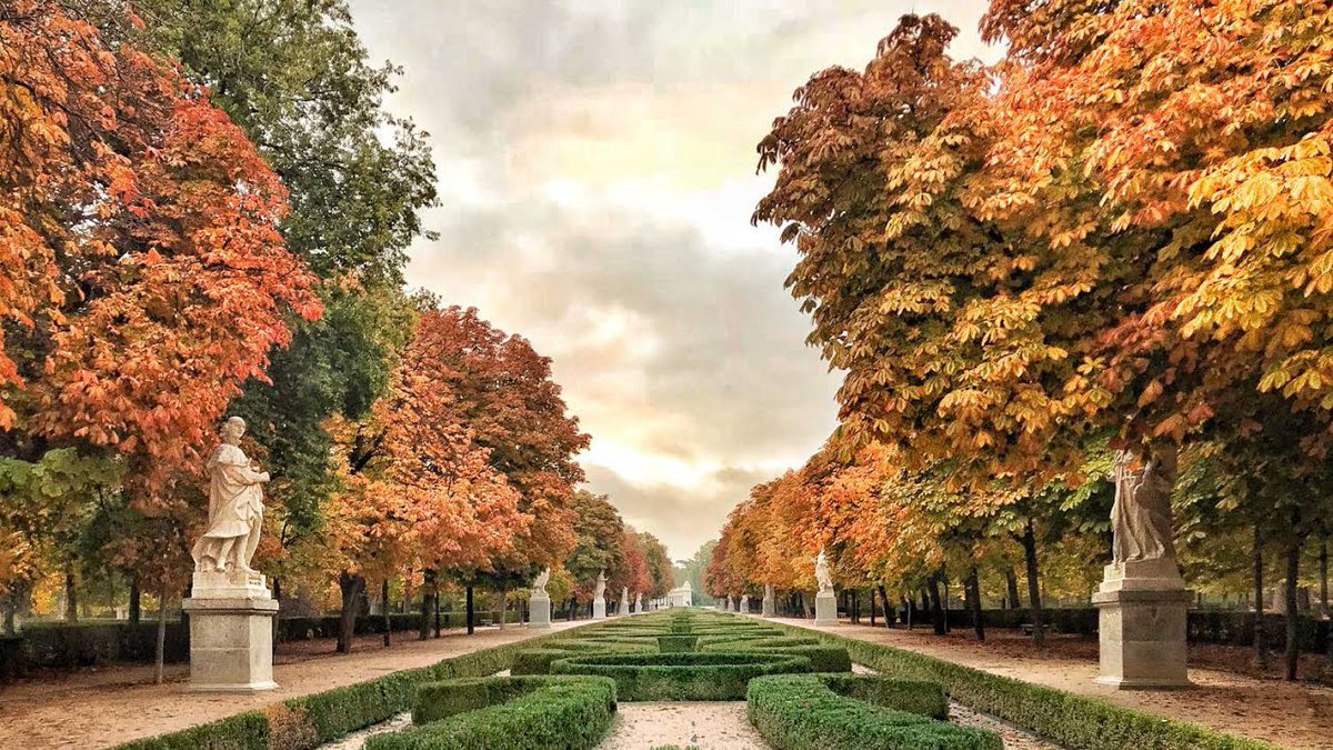 John Dory tweet media