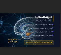 MathClub_NBU's tweet photo. ضمن المهرجان الرمضاني التي تقيمه#جامعة_الحدود_الشمالية نضمت كلية العلوم ممثلةً بقسم الرياضيات محاضرة بعنوان " لماذا نخاف؟ فهم القلق و التوتر بطريقة علمية مبسطة" قدمتها د. فايزة جمال الديدب. https://t.co/C9E37rNh5f