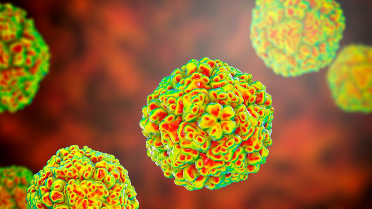 Casa de la Ciència CSIC València tweet media