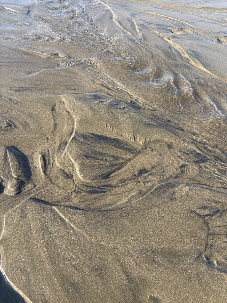 浜砂金の可能性！ 新潟県のとある浜辺に砂鉄濃縮層を発見、この様に