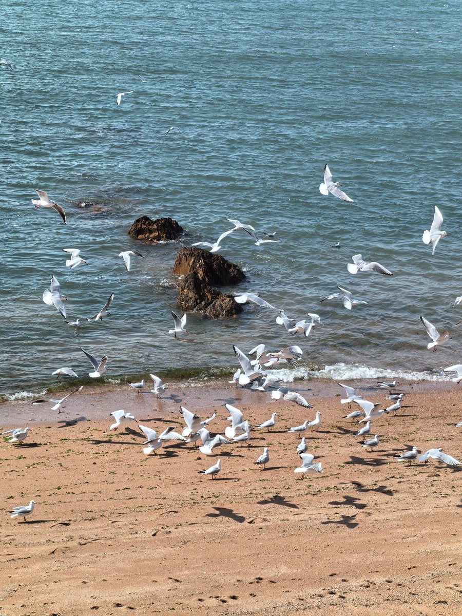 飞飞飞飞 tweet media