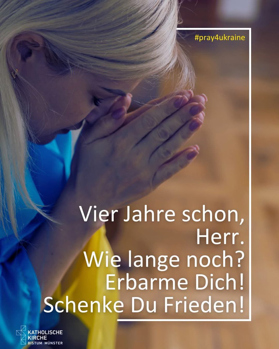 Moin tweet media