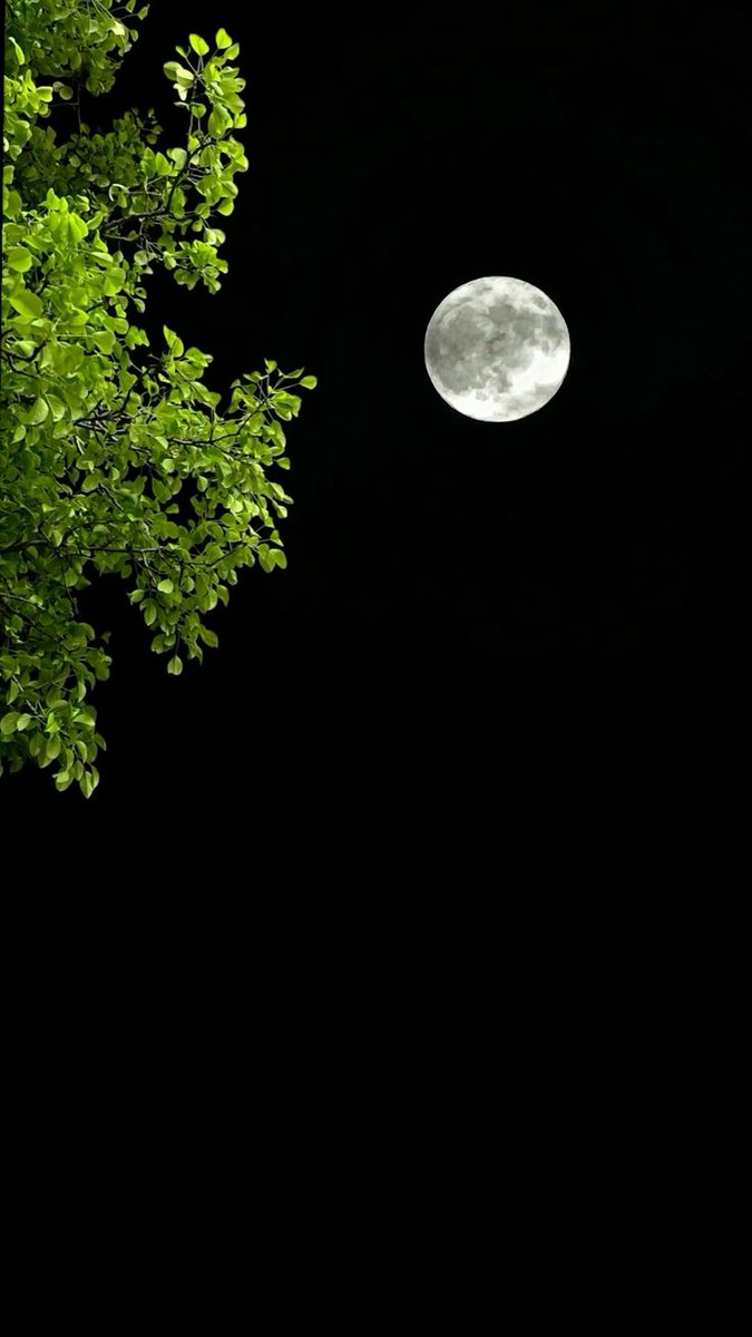 وہ دور چاند سا تم ہو
<a href="/NIK_563/">༄༂Neha༂࿐🎀</a>
<a href="/Iqb9786/">ℨ𝔢𝔢𝔰𝔥𝔞𝔫 𝔦𝔮𝔟𝔞𝔩 𝔥𝔲𝔰𝔰𝔞𝔦𝔫</a> 

#X_promo

<a href="/01sehrr/">🦋 سحر ملک 🦋</a>
<a href="/01rshd/">ارشـــد مــلــک❤️</a>
<a href="/ve99yy/">𝐌𝐚𝐡𝐯𝐞𝐞𝐧👑</a>
<a href="/M__mlkk/">ماہی ملک</a>
<a href="/sun_zara_/">شہزادہ بھائی</a>
<a href="/_karbb/">ڪــــــــــــــــــــــــــــرب</a>
<a href="/_Ft9t/">Farah</a>

<a href="/IK151/">𝕊ʜᴇʀᴅɪʟ 🇵🇰 IK</a>
<a href="/L_GR786/">GOhaR</a>
<a href="/AbidShah99/">Abid Jan</a>

<a href="/MarcelaErcia/">🕉MARCE🐉⚖ #MarceTeAyuda🔮#JesúsCambióMiVida✝</a>
<a href="/lm_zky/">🔥💥nor💥🔥</a>.<a href="/aa1ji/">عـــــــــــــزوز 🇸🇦🇸🇦</a>
<a href="/4mr88/">Aamir Hayat Awan</a>.<a href="/KirnPTI/">Ghazala Abbasi ᵀᵉᵃᵐᵂᵒᵏ</a>
<a href="/Aa_ban1/">Gяїffїп'$ 🦅</a>
<a href="/M_Sial6/">Maria Sial</a>
<a href="/Saif_pit/">Saif Ullah Warraichᵀᵉᵃᵐᴸᴸᴾ</a>.<a href="/zeenohon/">𝒁𝒆𝒆𝒏𝒂𝒕 𝑲𝒉𝒂𝒏</a>
<a href="/4_ti_7/">(AK-47)</a>
<a href="/1365umarkhan/">umar khan</a>
<a href="/Fairysahu22/">Nazo</a>
<a href="/Nazia2Butt/">Nazia Butt</a>