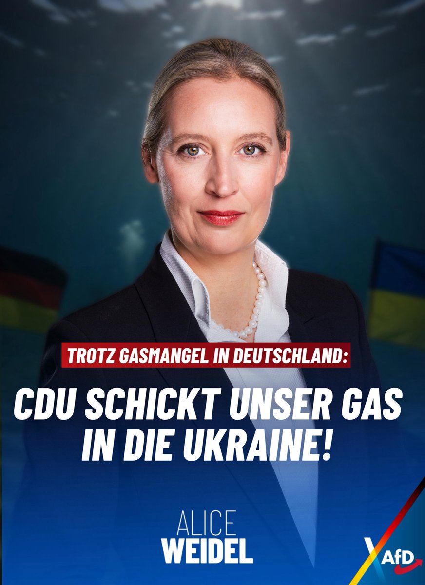 Alice Weidel tweet media