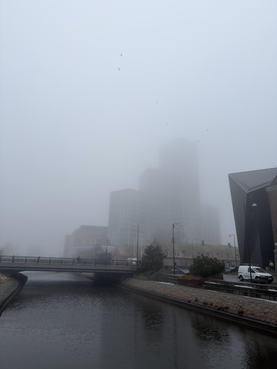 Pieberius tweet media