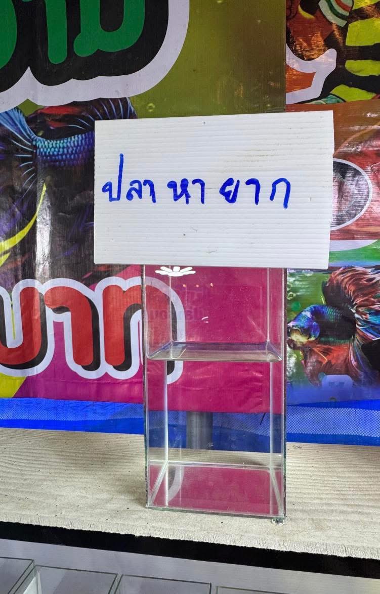 ฉันมีโอกาสมาไทย และเจอสิ่งนี้ที่จัตุจักร โอ้พระสงฆ์ คนขายเล่นเหี้ยอะไรกับกูเหรอ คิดว่ากูโง่มากใช่ไหมที่จะนั่งจ้องตู้ปลาเหี้ยนี่เกือบ 1 ชั่วโมง 

ใช่ กูจ้องจริง ๆ ไอเวร