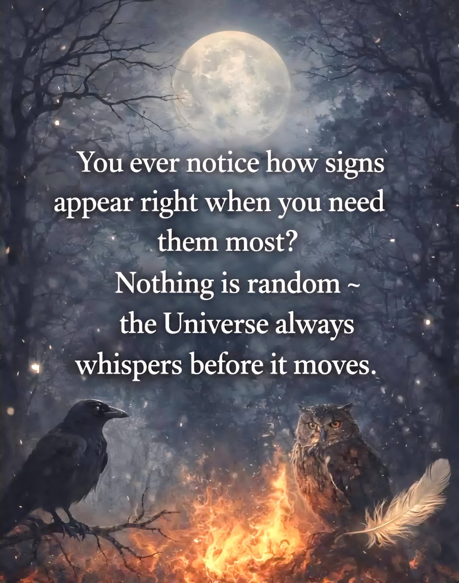 ⚜️🪬𝕂𝕖𝕣𝕣𝕚𝕖🪬⚜️ tweet media