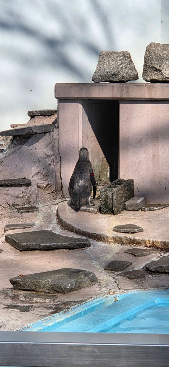 ﾐｰｻｰ tweet media