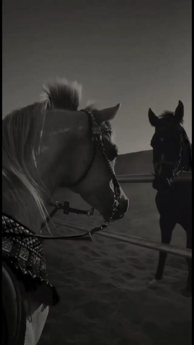 "نحن نحب الكلام الجميل لكننا لم نعد نؤمن به، ونشتاق للاهتمام لكننا نخشى فقده، نتجاهل المبادرات لا لرفضها، بل خوفاً من خذلان النهايات الذي يسرق وهج البدايات، نحن ببساطة نبحث عن احتواءٍ صادق نُسلمهُ أرواحنا المُتعبة، ليطمئن مخاوفنا بدلاً من أن يضاعفها.