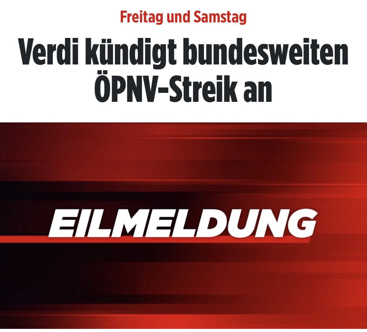 🇳🇱Luca🇳🇱 tweet media