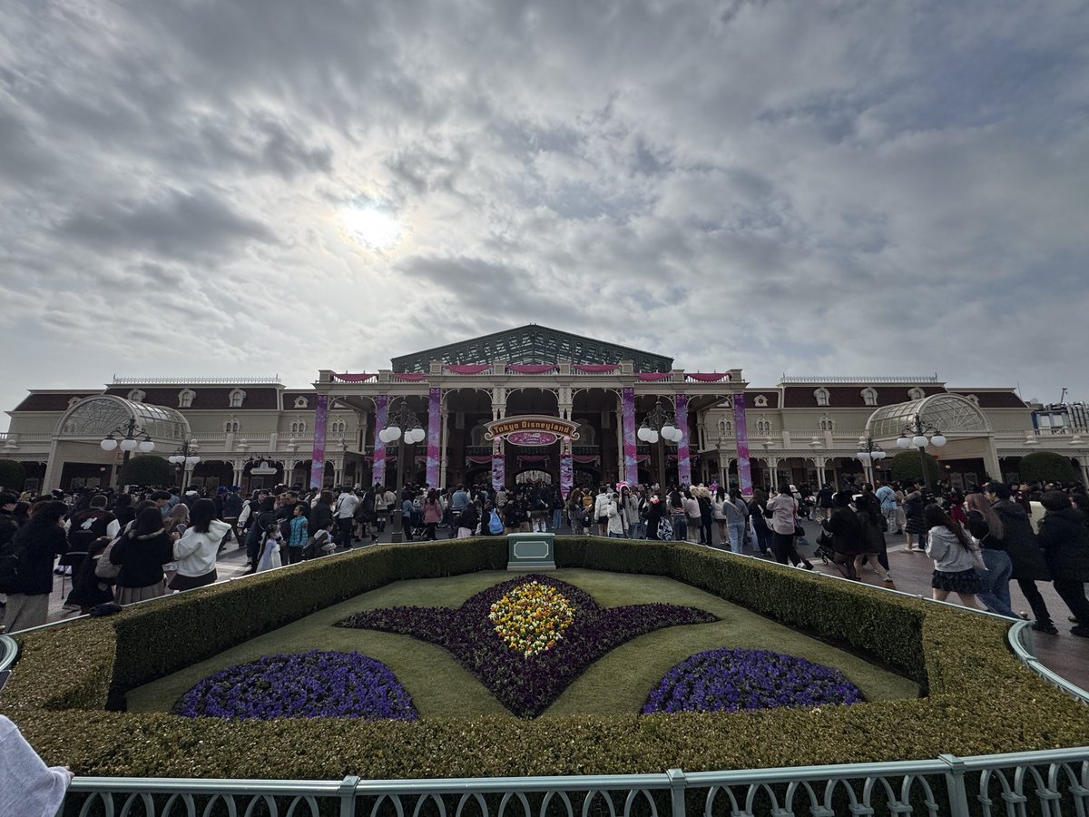 糖ぶん tweet media