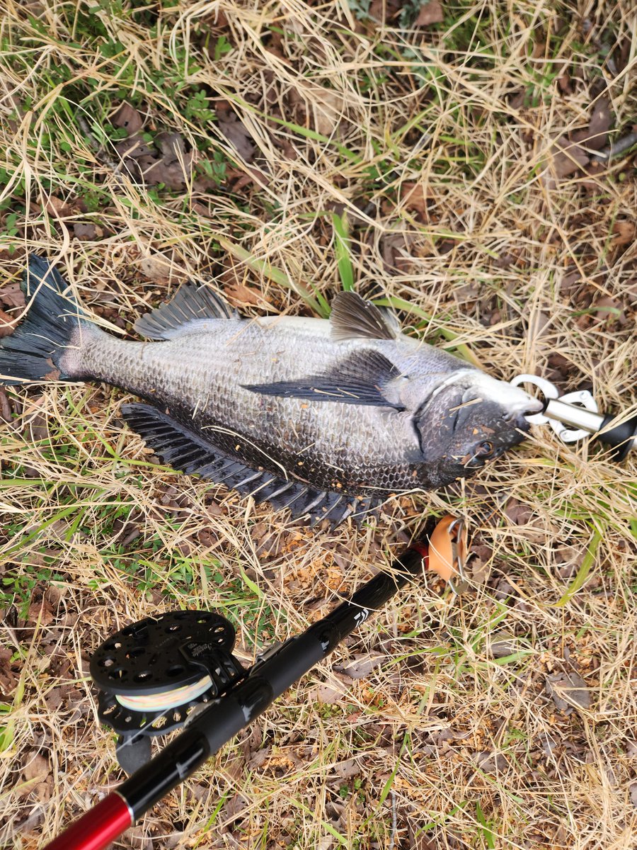 ツヨっさん tweet media