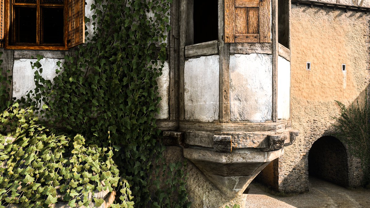 Kingdom Come Deliverance II 

#kingdomComeDeliverance2
#VirtualPhotography