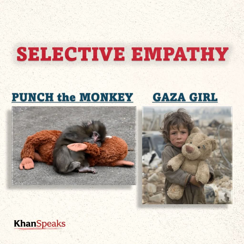 IMMuhammadNasir's tweet photo. A monkey moves you.
But a massacred child doesn’t—
Because the media didn’t tell you to feel.

The whole world is crying today.
Tears everywhere.
Broken hearts.
Because a monkey lost its toy.

Celebrities shared it.
Media pushed it.
People wrote essays on humanity. https://t.co/2jHqlu6OET